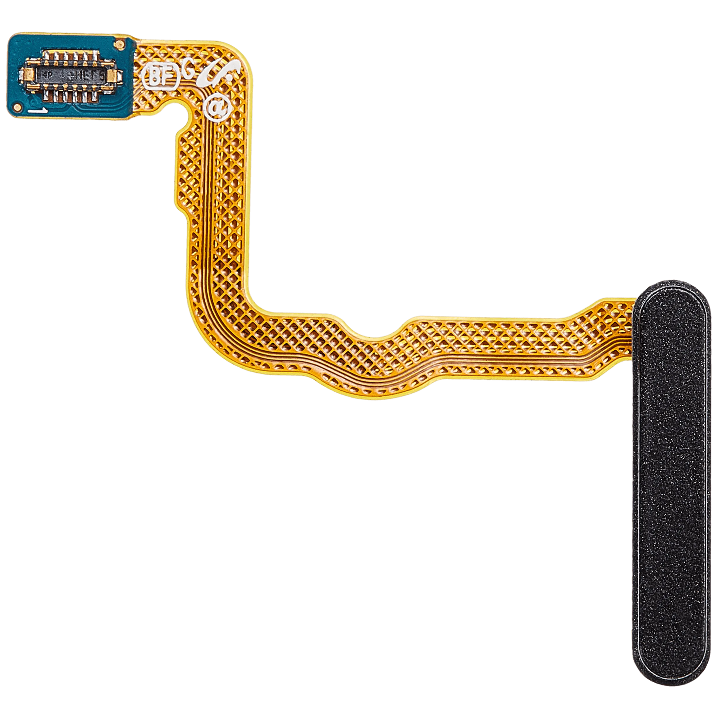 Lecteur d'empreinte avec nappe pour Samsung Galaxy Z Fold 4 5G (F936)