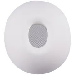 Eartips For AirPods Pro 1st Gen (2019) / 2nd Gen (2022) (L)