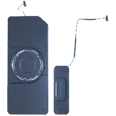 Loudspeaker For iPad Pro 13" 7th Gen (2024) (WiFi Only) (Genuine OEM)