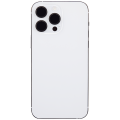 Back Housing W/ Small Pre-Installed Compatible For iPhone 14 Pro Max (International Version) (Aftermarket Plus) (Silver)