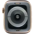 Housing Assembly Compatible For Watch Series 4 (44MM) (Used OEM Pull: Grade A) (Stainless / Gold)