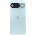 Back Cover Glass With Camera Lens For Google Pixel 9 (Used OEM Pull: Grade A) (Wintergreen)