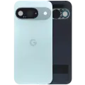 Back Cover Glass With Camera Lens For Google Pixel 9 (Used OEM Pull: Grade A) (Wintergreen)