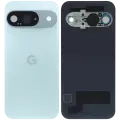 Back Cover Glass With Camera Lens For Google Pixel 9 (Used OEM Pull: Grade A) (Wintergreen)