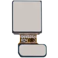 Front Camera (Located Below The Outer OLED) For Samsung Galaxy Z Fold 6 (F956) (Premium)